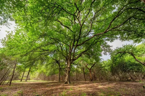 2055 County Road 284 Liberty Hill TX 78642
