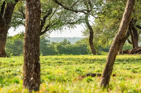 2055 County Road 284 Liberty Hill TX 78642