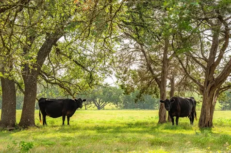 2055 County Road 284 Liberty Hill TX 78642