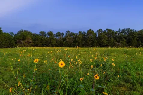 2055 County Road 284 Liberty Hill TX 78642