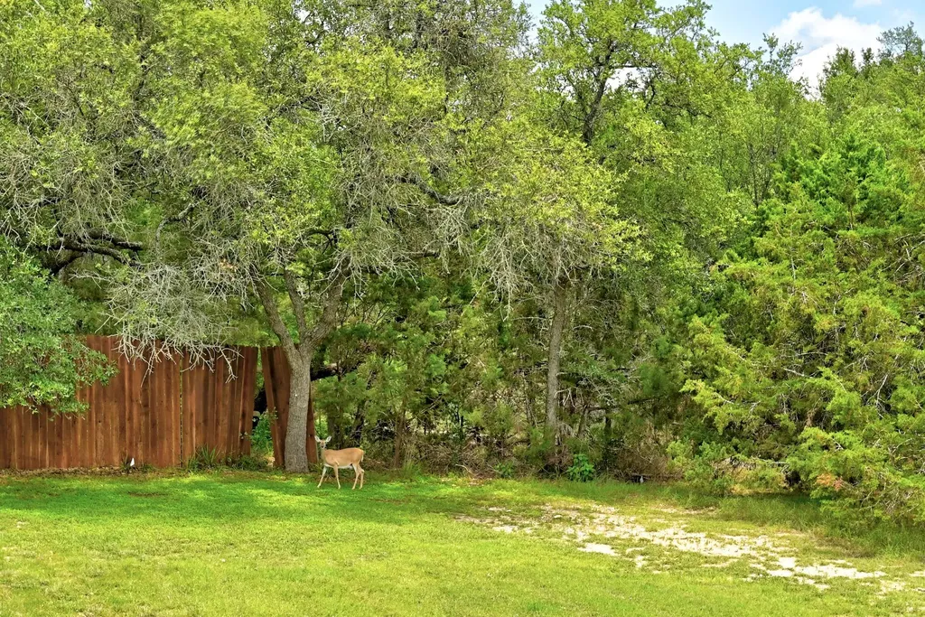 3 Long Creek Road Austin TX 78737