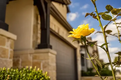 112 Rosebush Drive Liberty Hill TX 78642