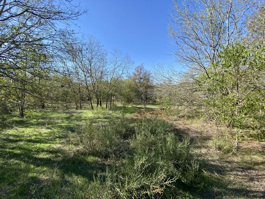 7603 Timber Hills Drive Del Valle TX 78617