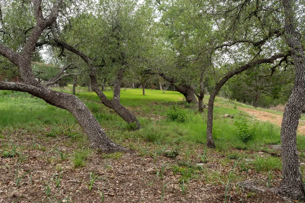 112 Twin Creek Circle Dripping Springs TX 78620