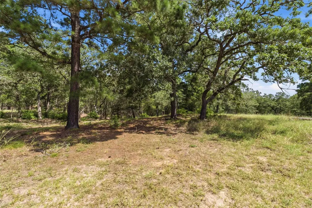 7921 Vista Ranch Road Smithville TX 78957