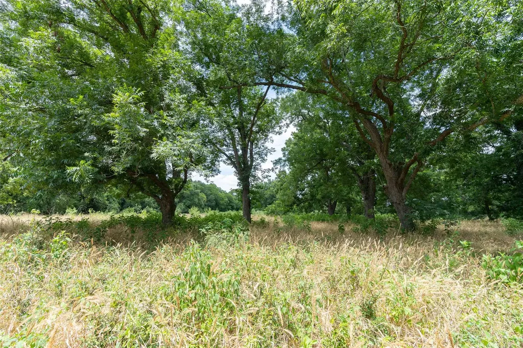 000 Fm 671 Luling TX 78648