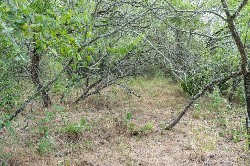 000 Fm 671 Luling TX 78648