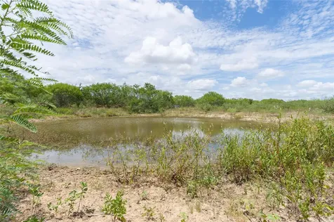 000 Fm 671 Luling TX 78648