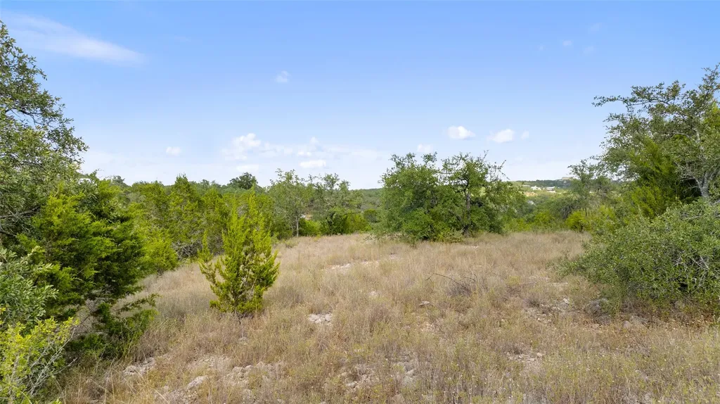 19718 Fig Bluff Lane Spicewood TX 78669