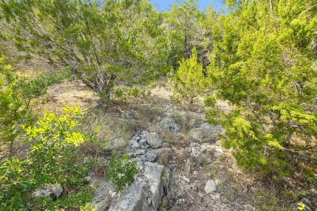 19718 Fig Bluff Lane Spicewood TX 78669