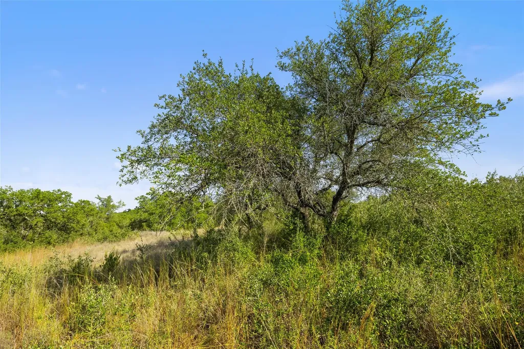 19718 Fig Bluff Lane Spicewood TX 78669