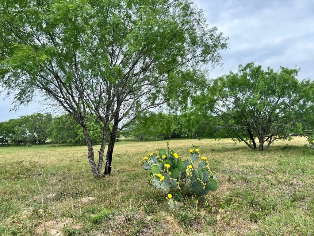 Lot 17 Settlement Way Luling TX 78648