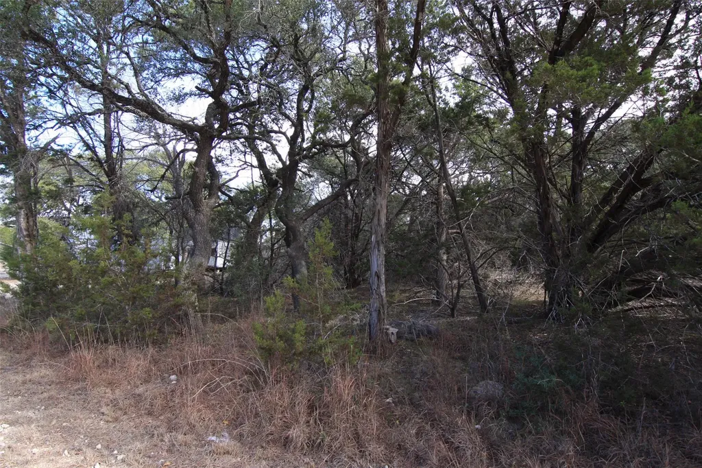 2023 Harmon Hills Road Dripping Springs TX 78620