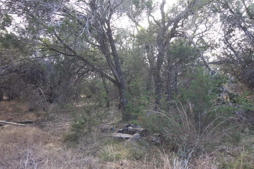 2023 Harmon Hills Road Dripping Springs TX 78620