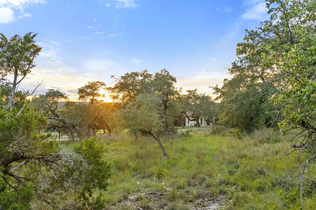 000 Mirela Ann Road Dripping Springs TX 78620