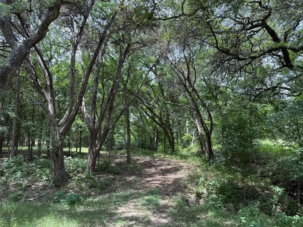 132 Quiet Oak Cove Liberty Hill TX 78642