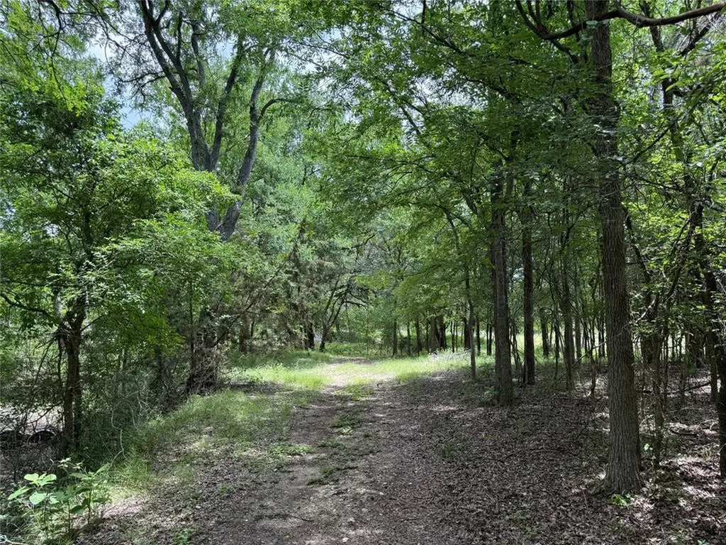 132 Quiet Oak Cove Liberty Hill TX 78642