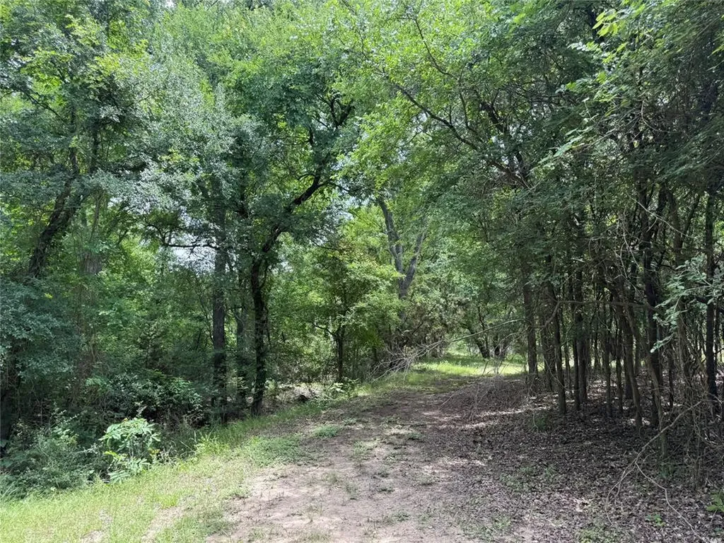 132 Quiet Oak Cove Liberty Hill TX 78642
