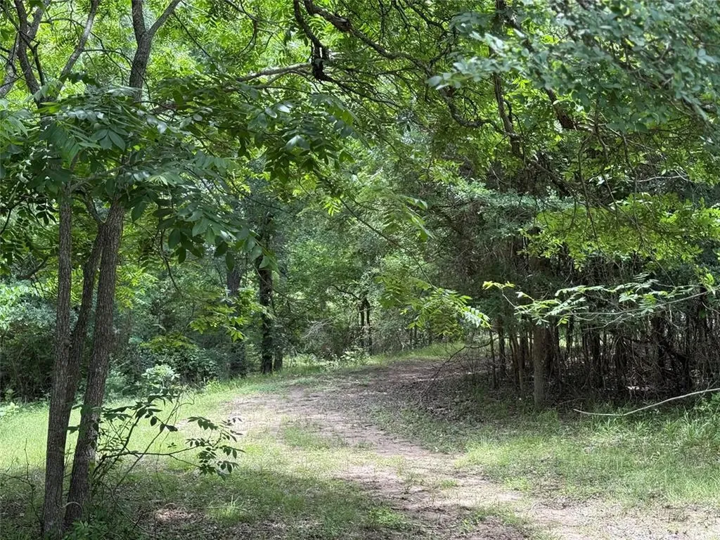 132 Quiet Oak Cove Liberty Hill TX 78642