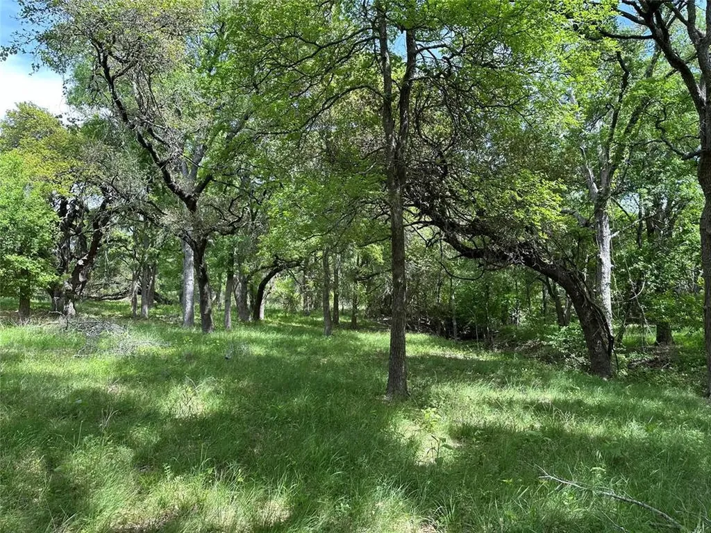 132 Quiet Oak Cove Liberty Hill TX 78642