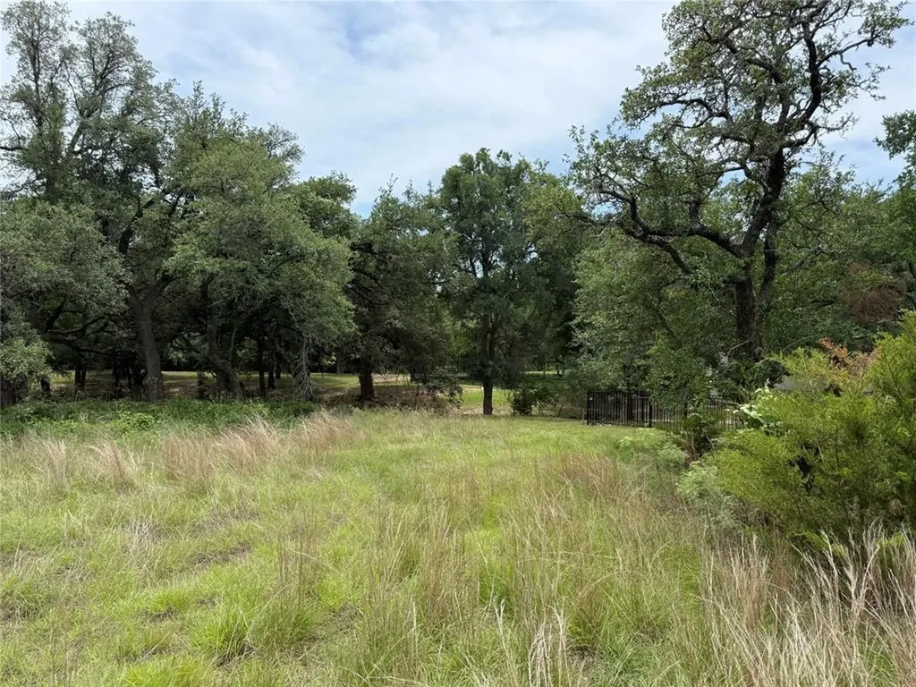 132 Quiet Oak Cove Liberty Hill TX 78642