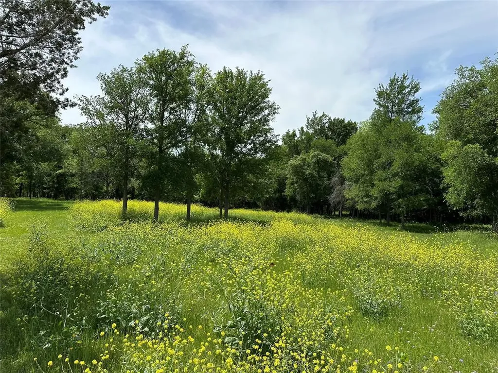 132 Quiet Oak Cove Liberty Hill TX 78642