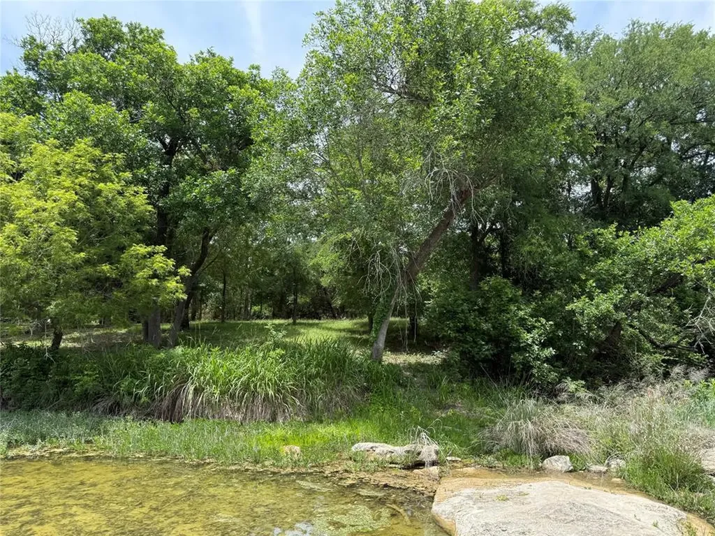 132 Quiet Oak Cove Liberty Hill TX 78642