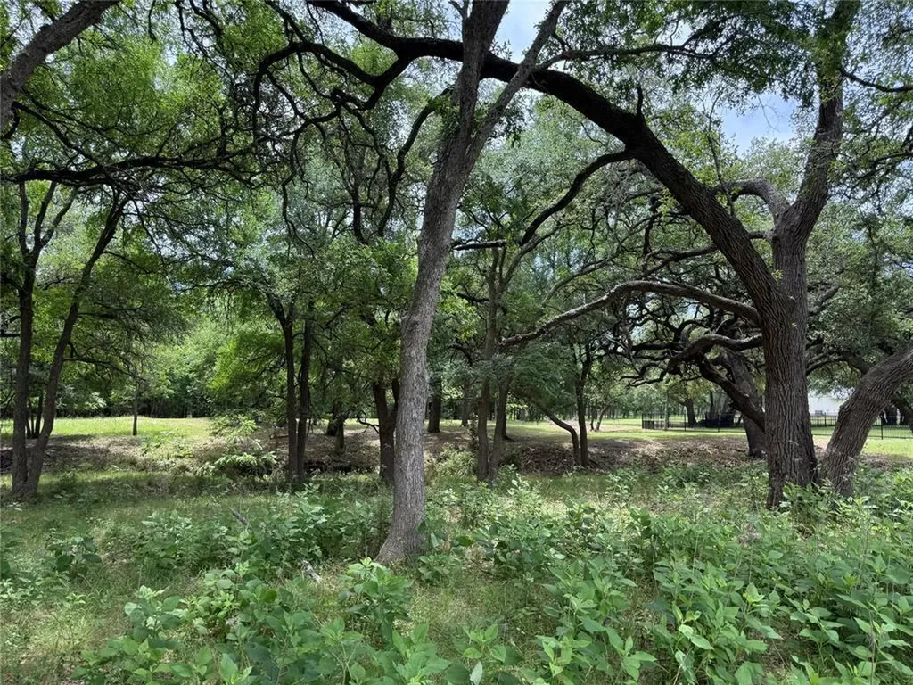 132 Quiet Oak Cove Liberty Hill TX 78642