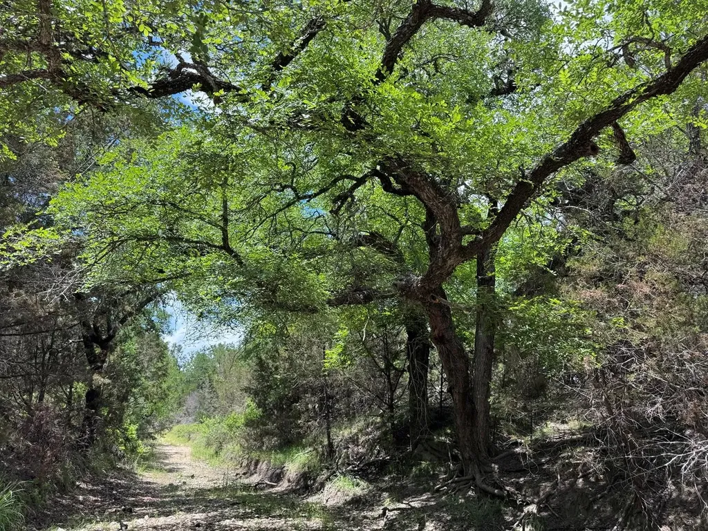 312 Oak Stump Drive Goldthwaite TX 76844