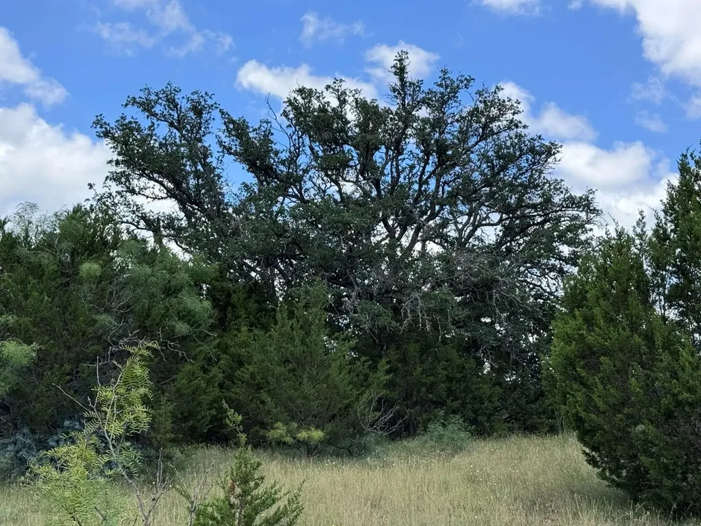 312 Oak Stump Drive Goldthwaite TX 76844