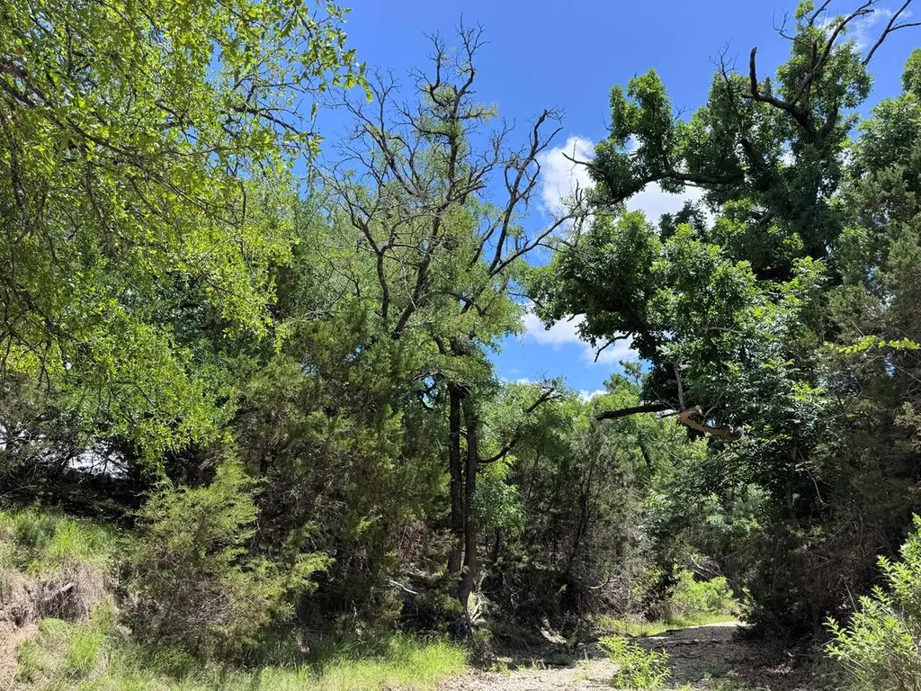 312 Oak Stump Drive Goldthwaite TX 76844