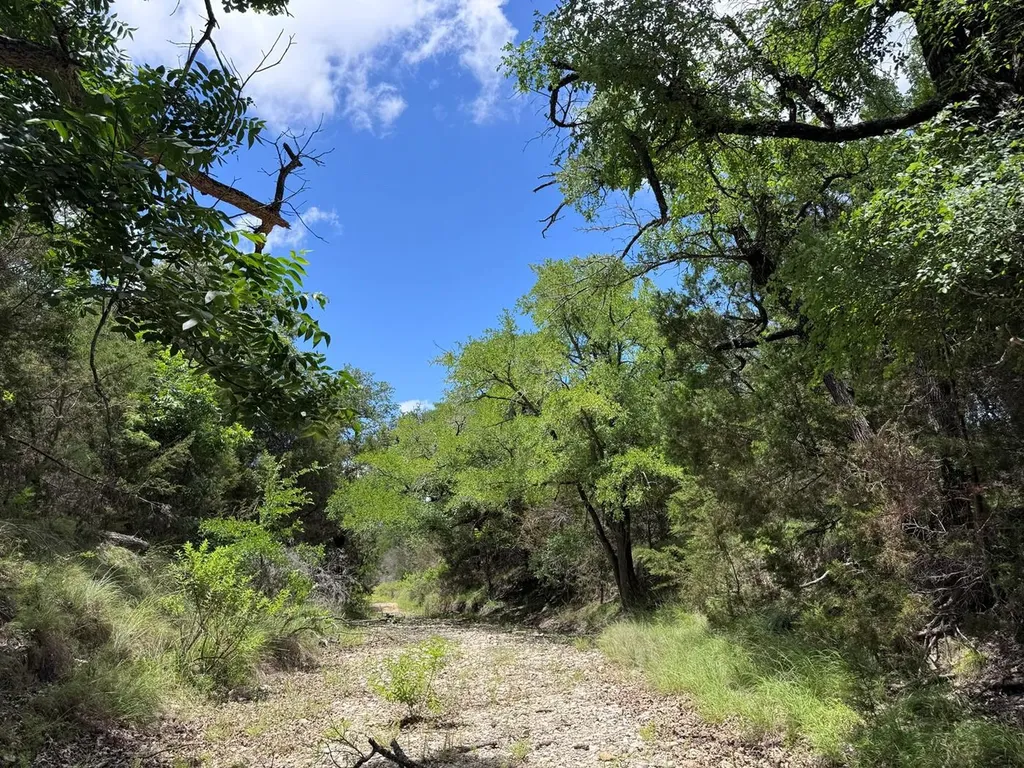 312 Oak Stump Drive Goldthwaite TX 76844