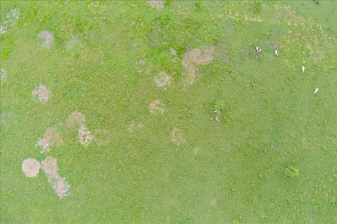 1700 Cr 322 Bartlett TX 76511