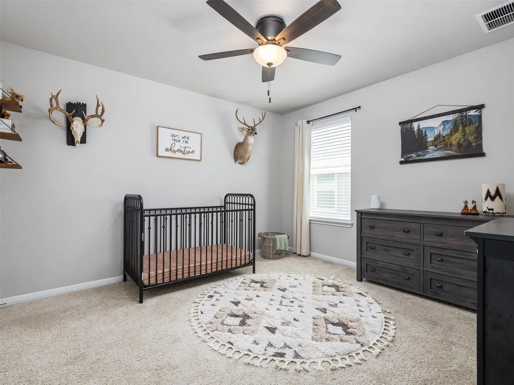 201 Bunting Lane Bertram TX 78605