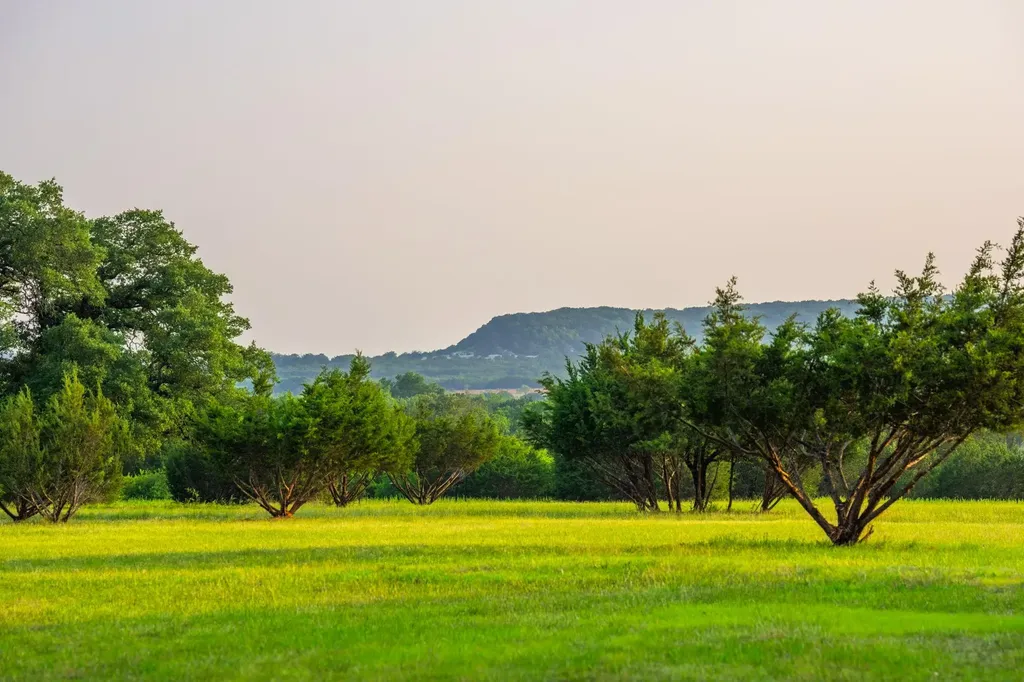 2170 County Road 228 Hico TX 76457