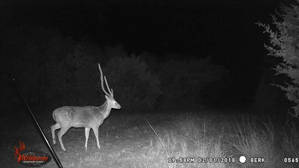 000 Private Road 3150 Brackettville TX 78832
