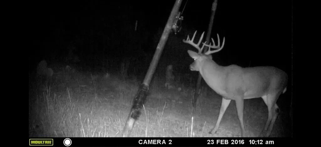 000 Private Road 3150 Brackettville TX 78832