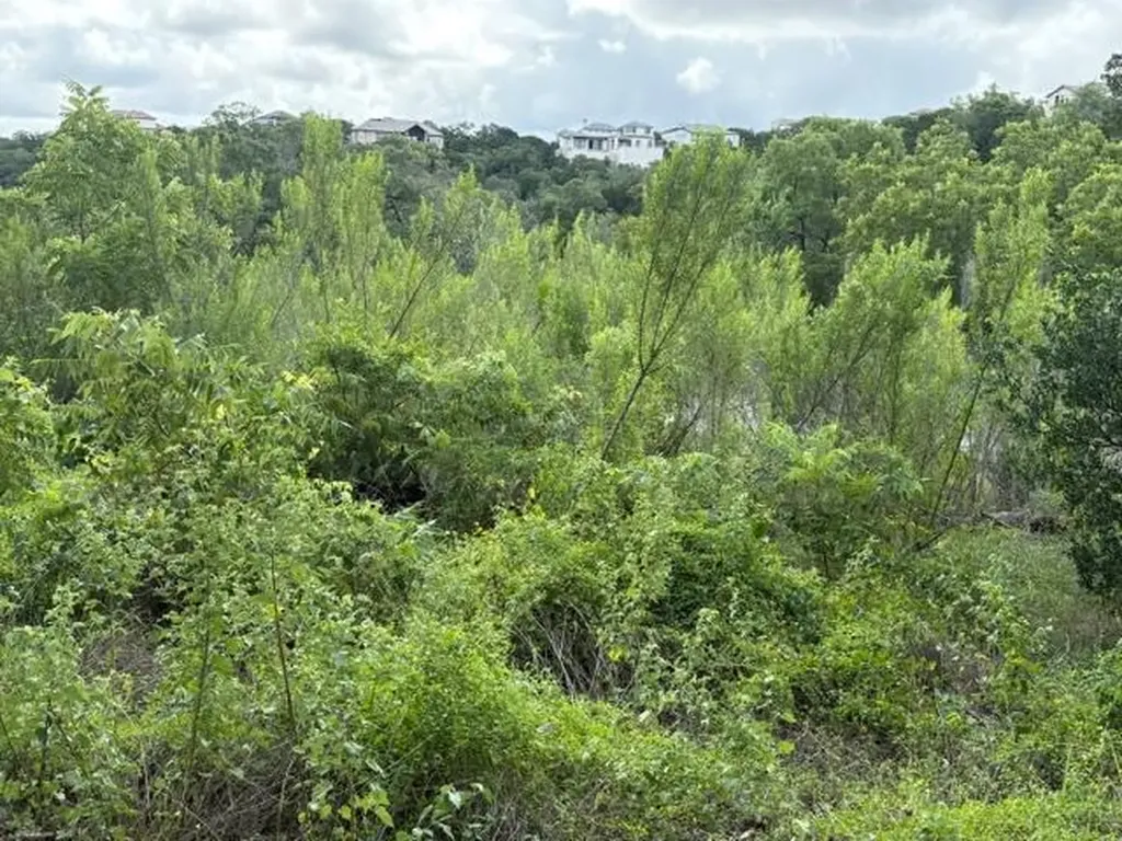 19615 Terra Mont Drive San Antonio TX 78255