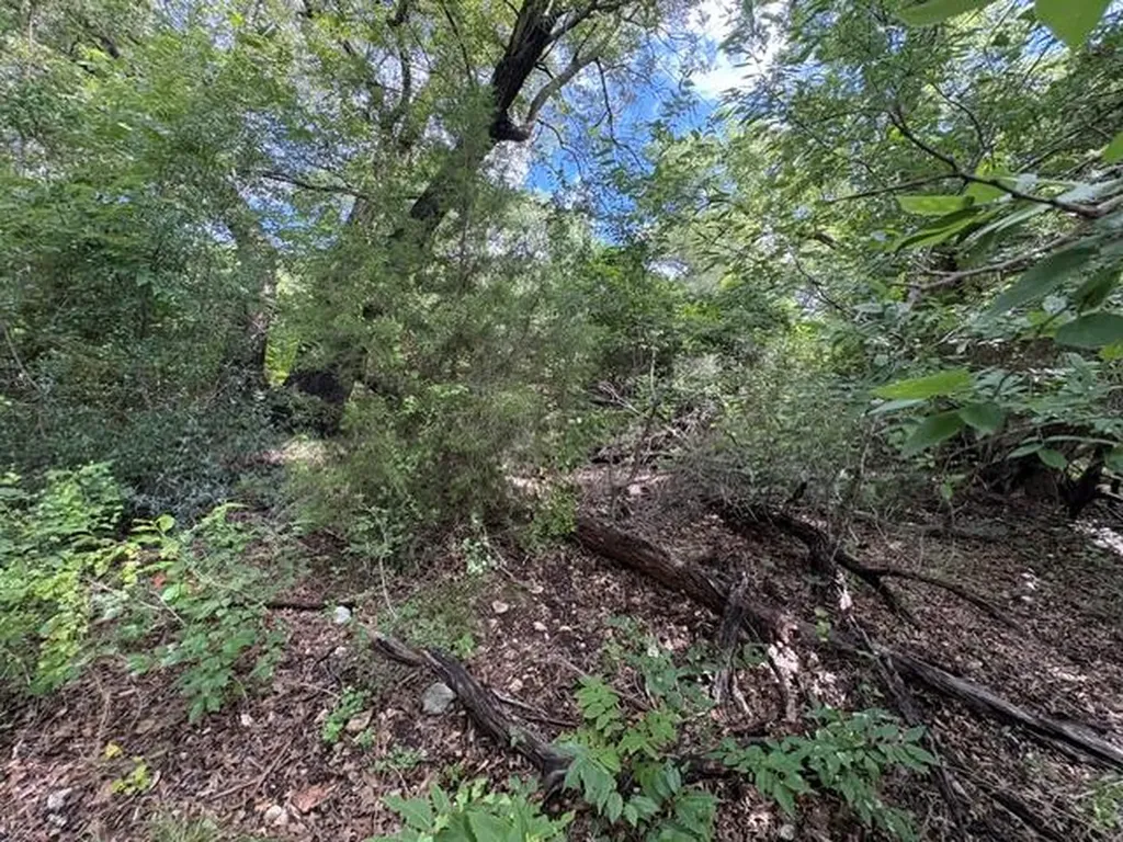 19615 Terra Mont Drive San Antonio TX 78255