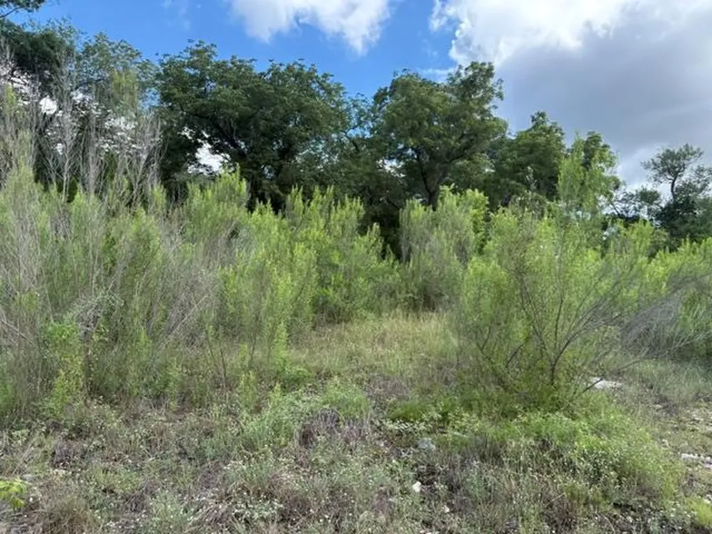 19615 Terra Mont Drive San Antonio TX 78255