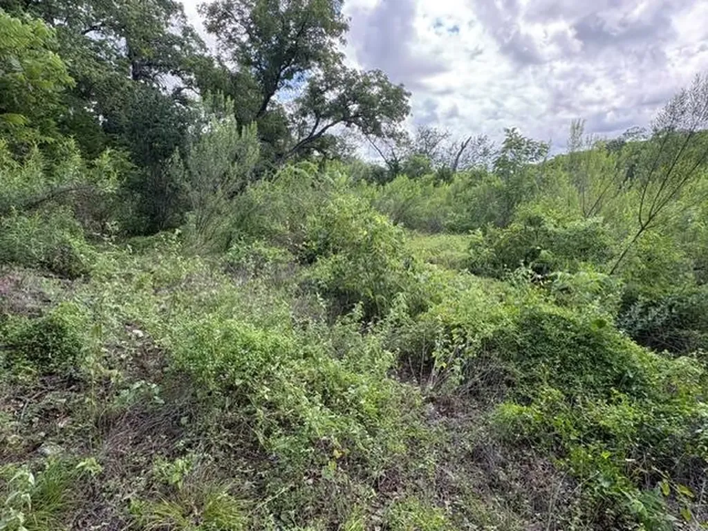 19615 Terra Mont Drive San Antonio TX 78255