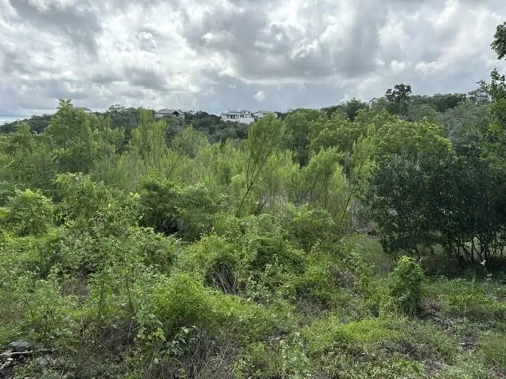 19615 Terra Mont Drive San Antonio TX 78255