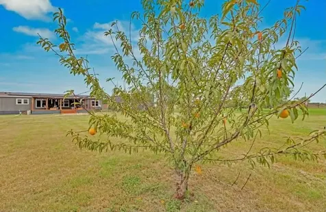 213 River Front Drive Cedar Creek TX 78612