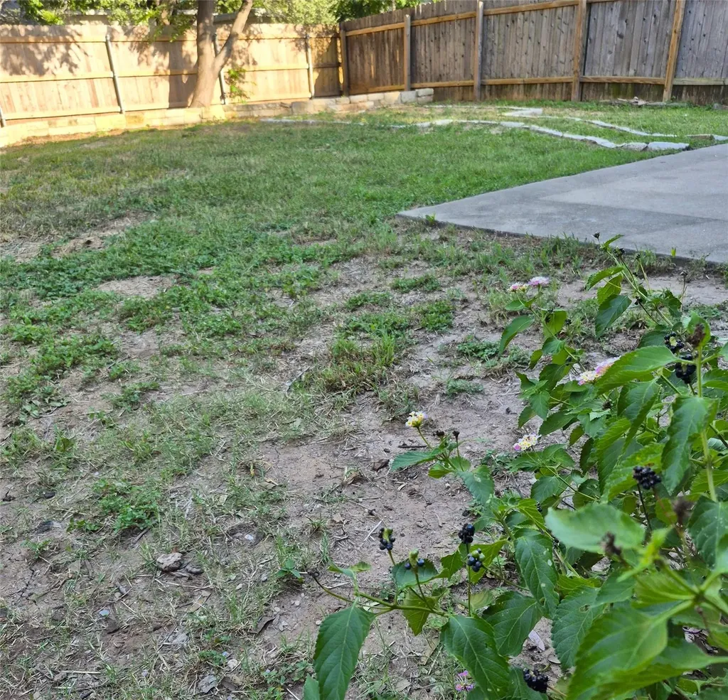 1139 Emmitt Run Austin TX 78721