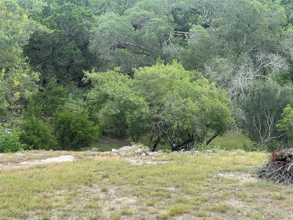 439 Twilight Drive Canyon Lake TX 78133