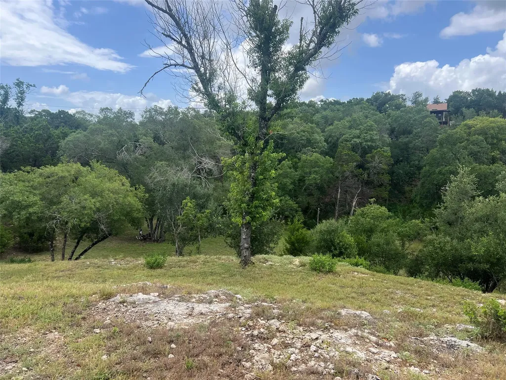439 Twilight Drive Canyon Lake TX 78133
