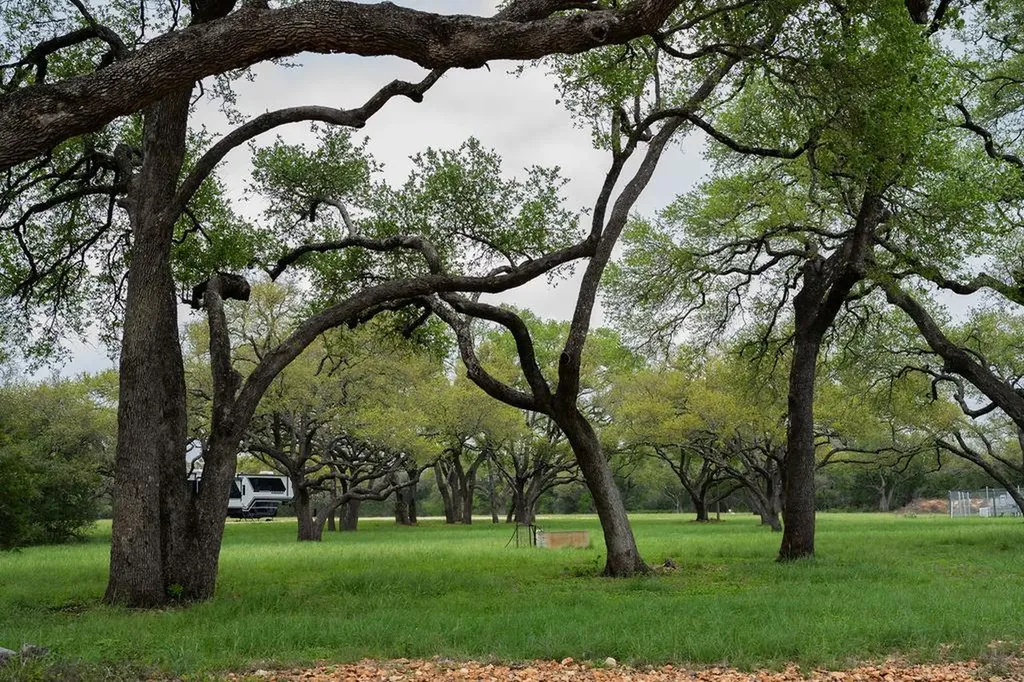 426 Mill Run New Braunfels TX 78132