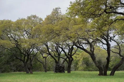 426 Mill Run New Braunfels TX 78132