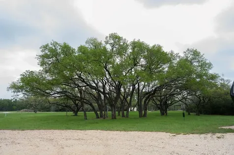 426 Mill Run New Braunfels TX 78132