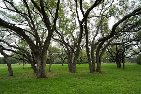 426 Mill Run New Braunfels TX 78132